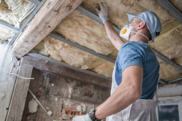 Best Residential Insulation in Houston, MO
