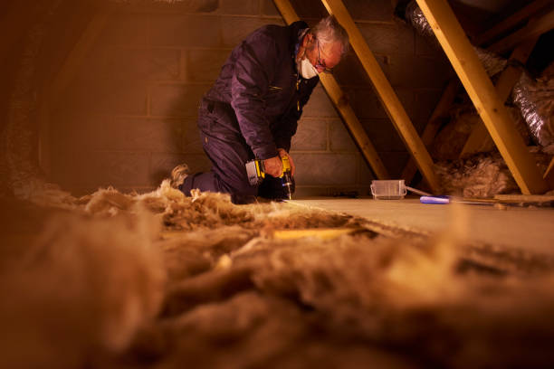 Best Insulation Maintenance and Repair in Houston, MO